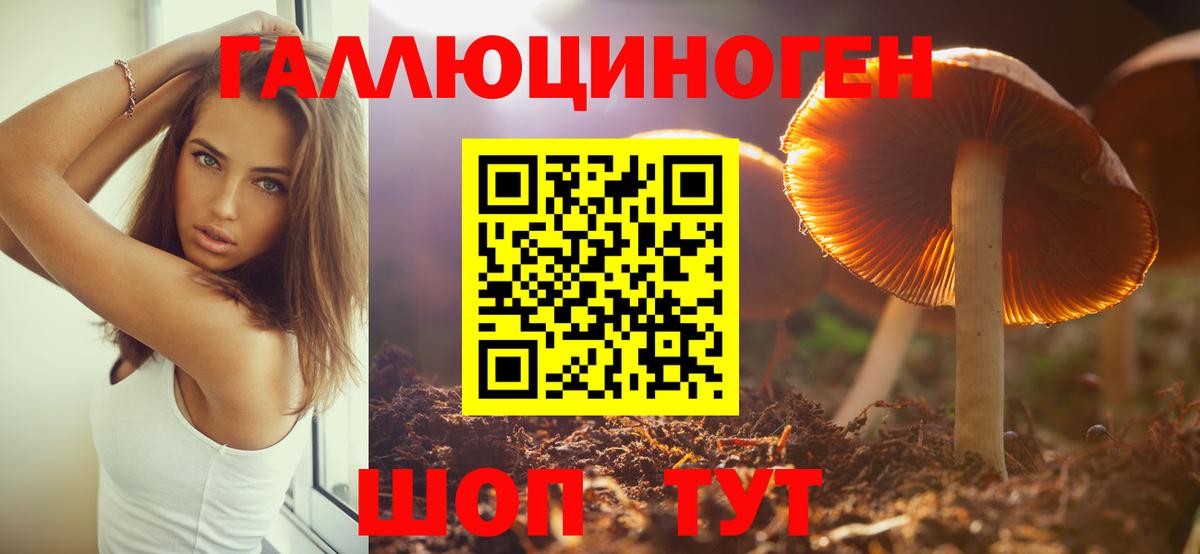 Псилоцибиновые грибы Psilocybe  Вход с VPN  Мыски 